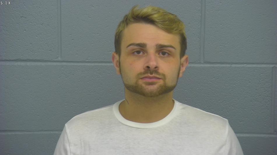Arrest photo of LANCE MEDDOWS